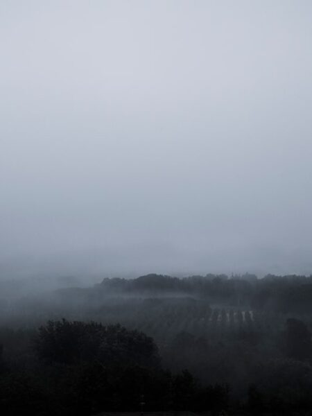 Fog over landscape