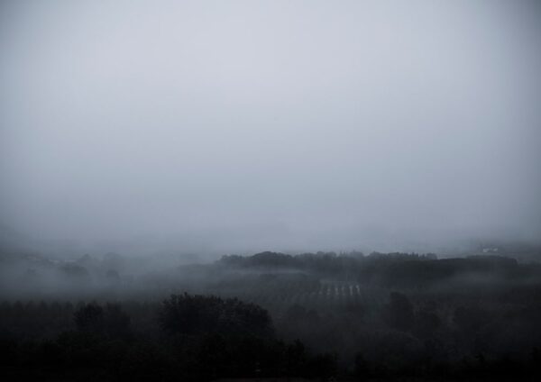 Fog over landscape