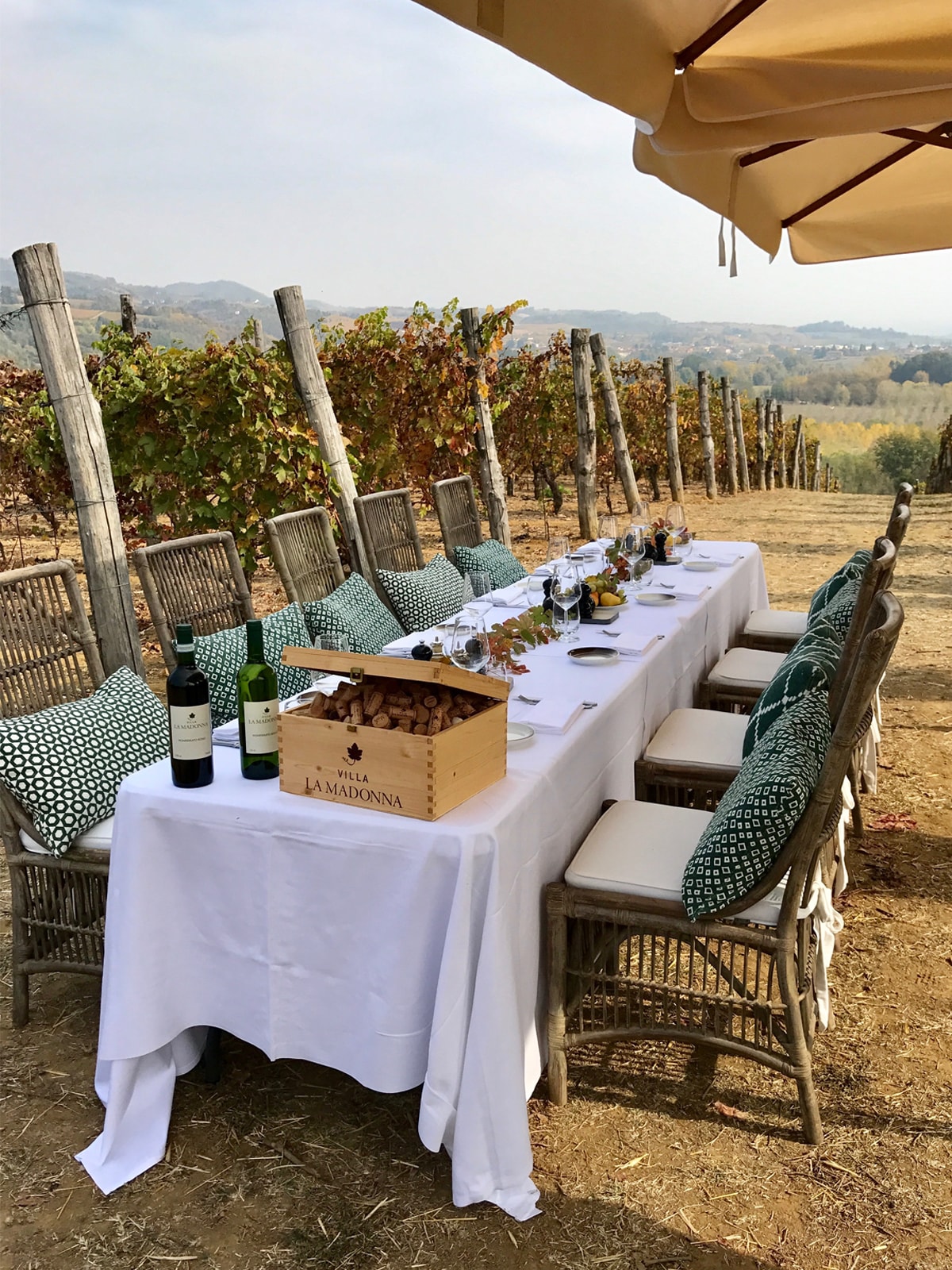 Lunch in the vineyard