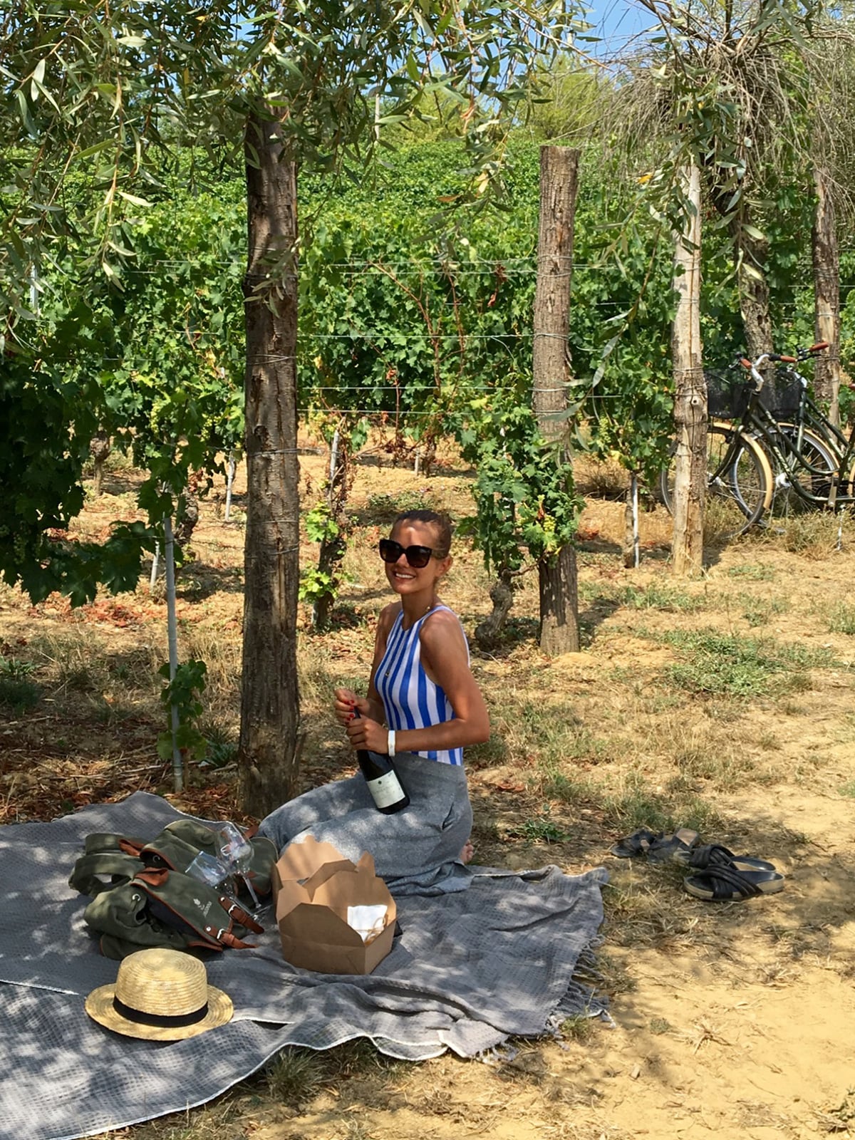 Picnic blanket in the vineyard