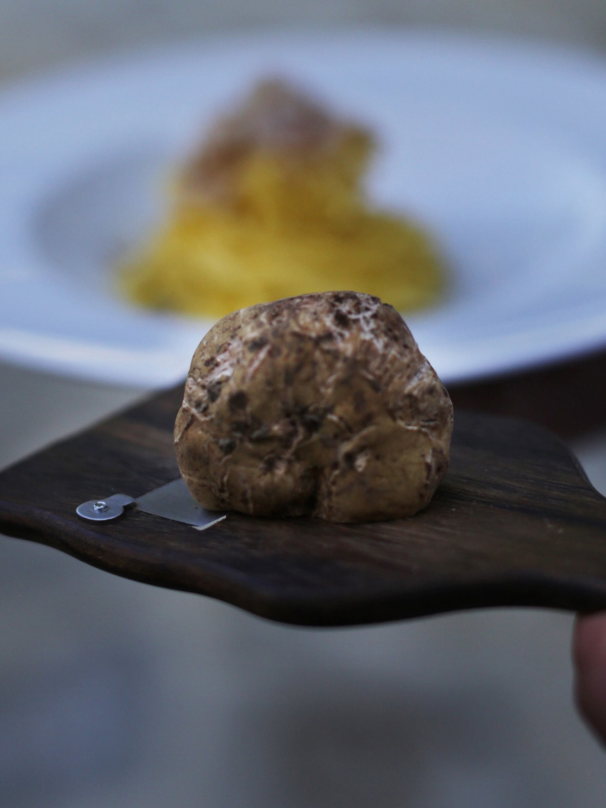 Truffle