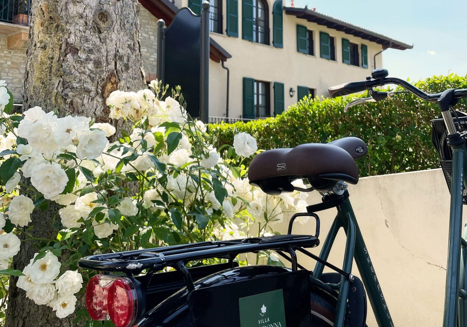 activities_sports_cyjking Parcel carrier in front of white flowers