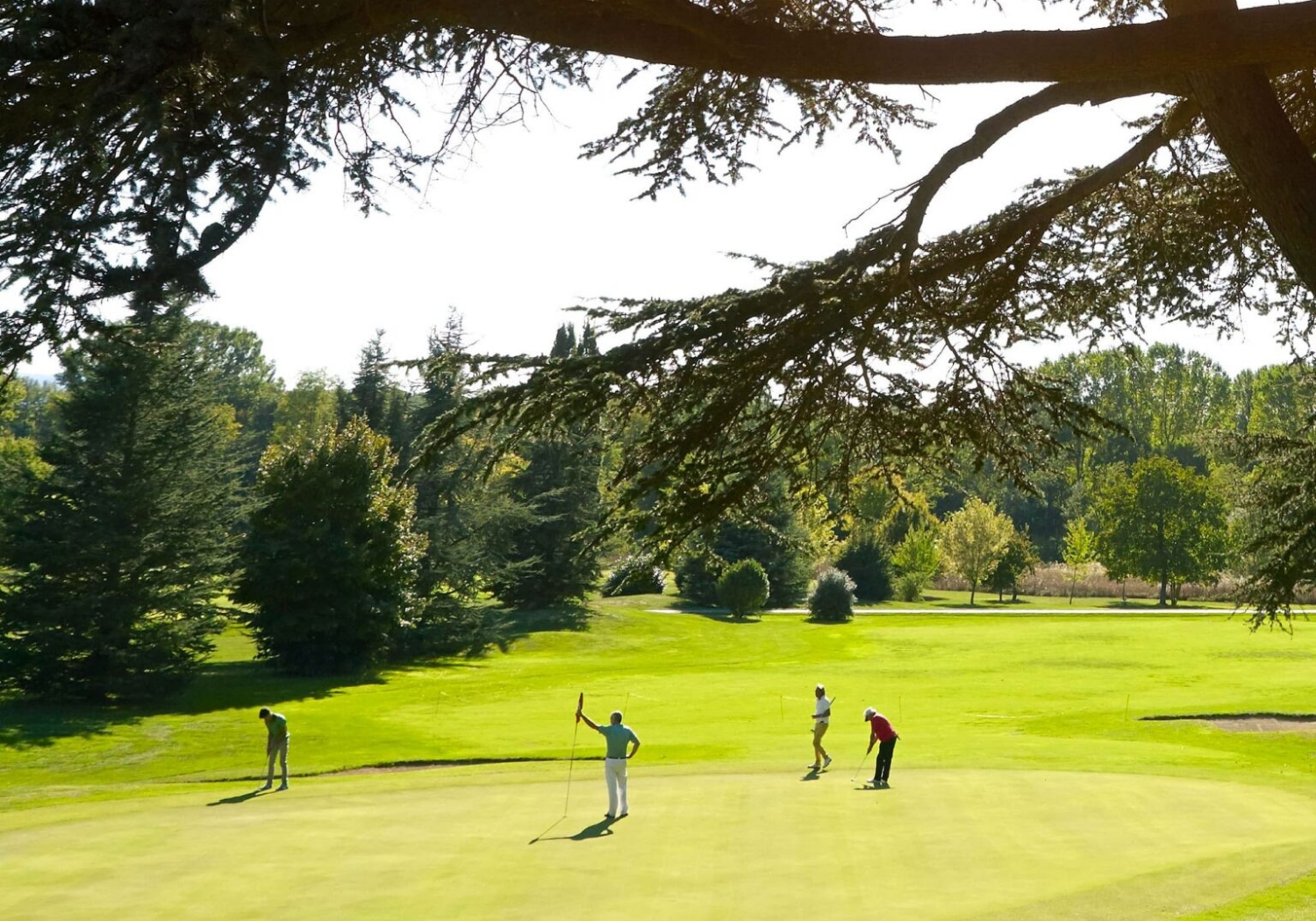 activities_sports_golf 4 people on a golf green