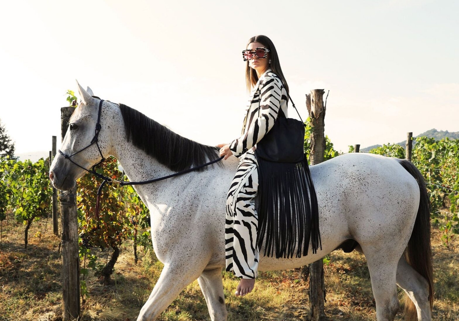 activities_sports_horseback-riding A woman rides a horse among the grapevines