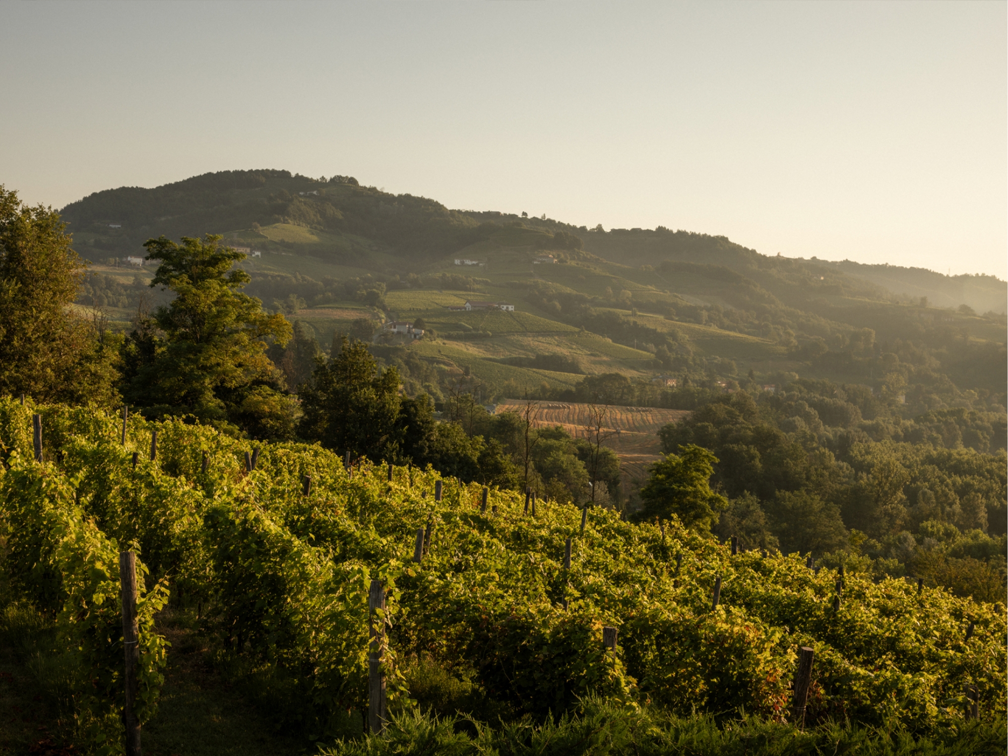 events-o-meetings_view