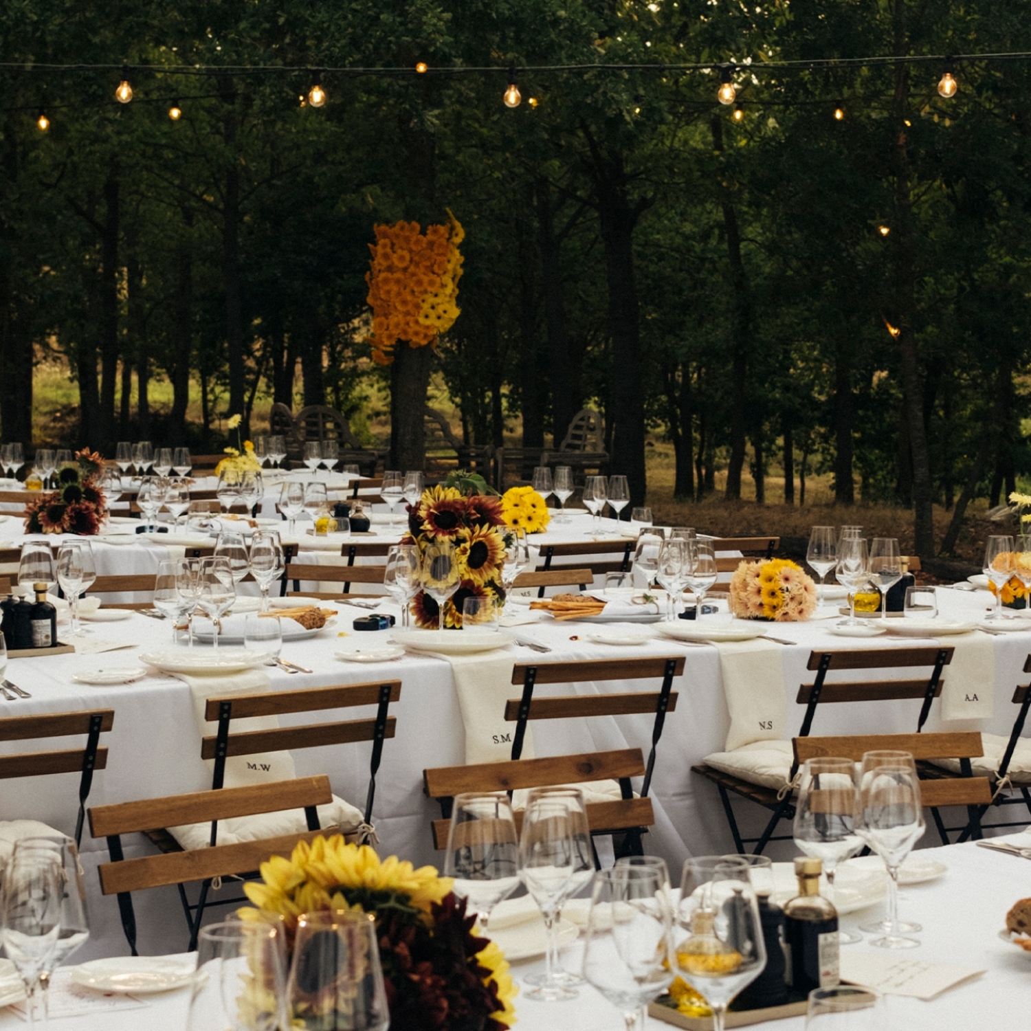 Dinner setting outside